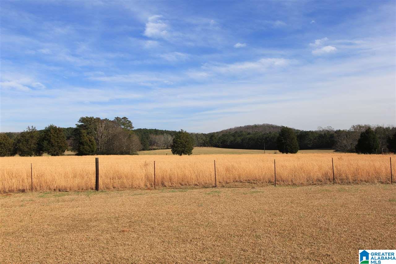 0 Fish Hatchery Road Eastaboga, AL 36260 - Photo 1 of 5