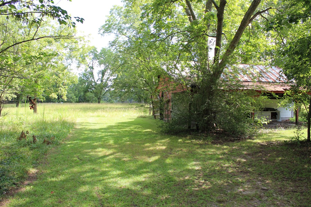 8829 Hamilton Road Pine Mountain, GA 31822 - Photo 16 of 71 Gallery Image 16