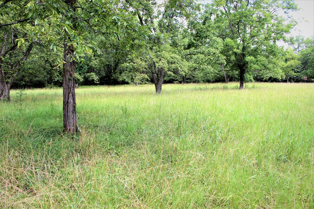 8829 Hamilton Road Pine Mountain, GA 31822 - Photo 20 of 71 Gallery Image 20