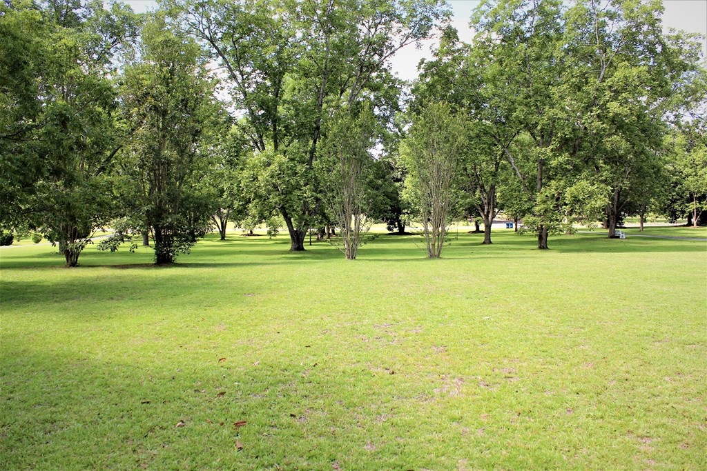 8829 Hamilton Road Pine Mountain, GA 31822 - Photo 22 of 71 Gallery Image 22