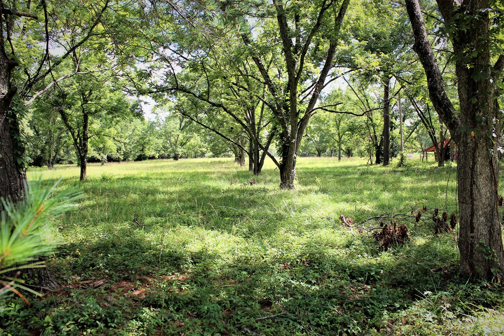 8829 Hamilton Road Pine Mountain, GA 31822 - Photo 24 of 71 Gallery Image 24
