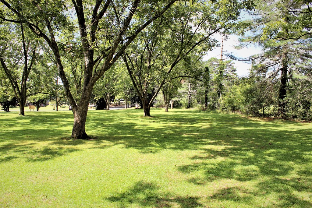 8829 Hamilton Road Pine Mountain, GA 31822 - Photo 25 of 71 Gallery Image 25