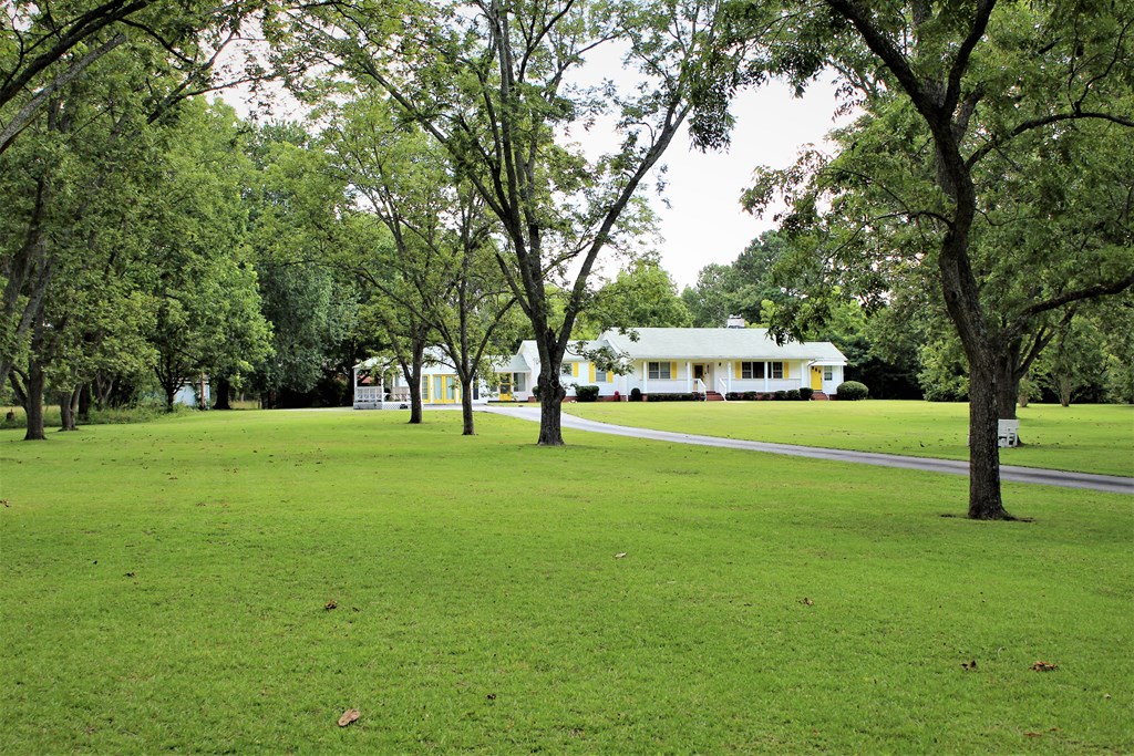 8829 Hamilton Road Pine Mountain, GA 31822 - Photo 5 of 71 Gallery Image 5
