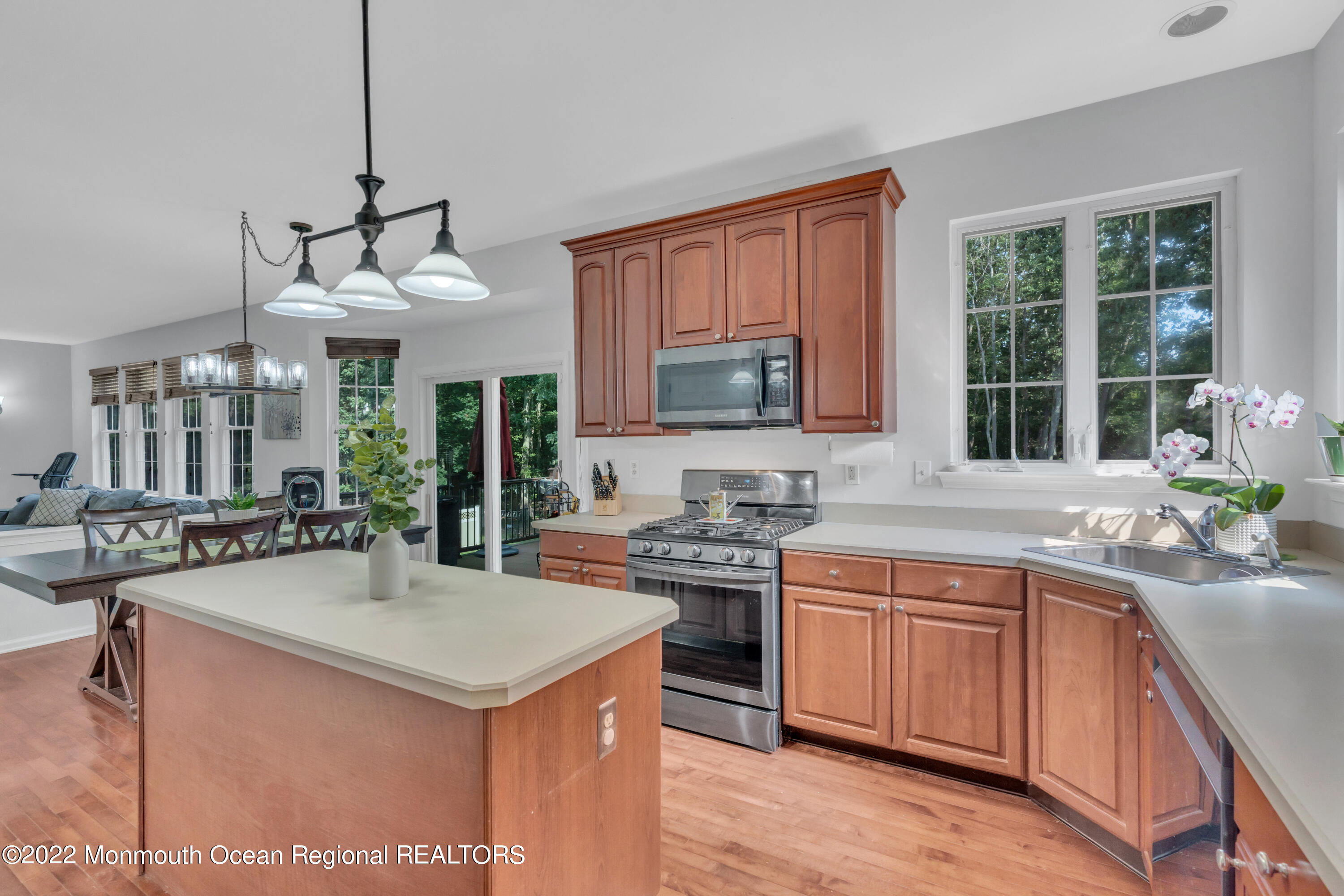 1 Springbrook Drive Jackson, NJ 08527 - Photo 18 of 56 037_dsc01114