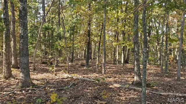 $259,900 | 0 County Road 6030, Salem, MO 65560