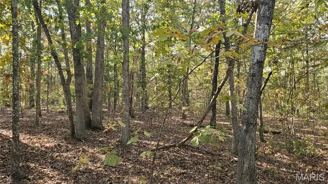 $259,900 | 0 County Road 6030, Salem, MO 65560