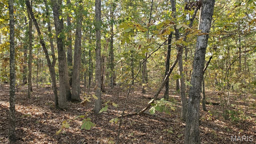 0 County Road 6030 Salem, MO 65560 - Photo 13 of 45