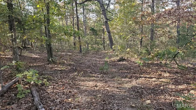 $259,900 | 0 County Road 6030, Salem, MO 65560