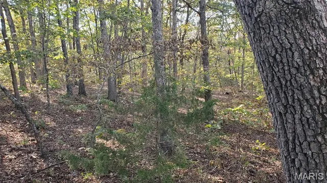 $259,900 | 0 County Road 6030, Salem, MO 65560