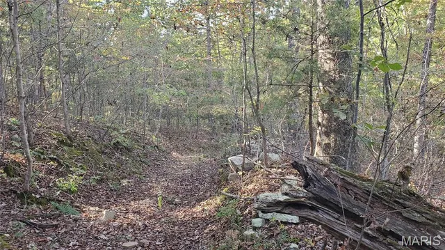 $259,900 | 0 County Road 6030, Salem, MO 65560