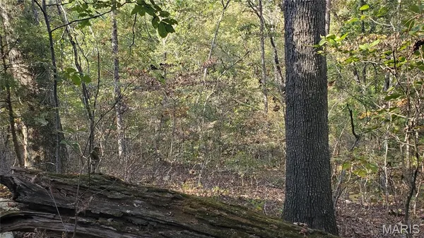 $259,900 | 0 County Road 6030, Salem, MO 65560