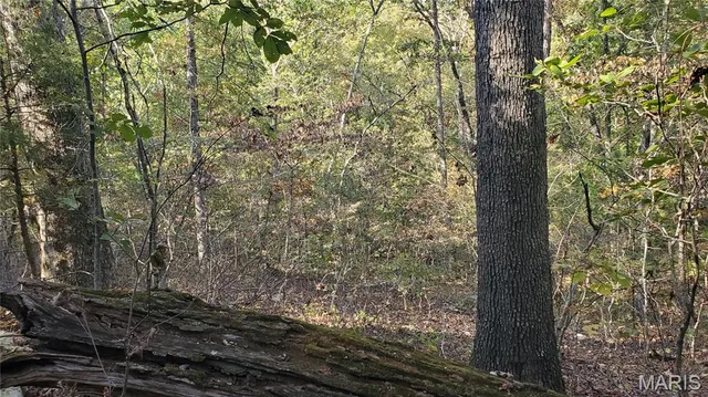 $259,900 | 0 County Road 6030, Salem, MO 65560