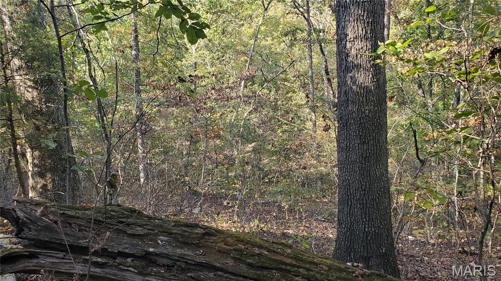 0 County Road 6030 Salem, MO 65560 - Photo 17 of 45