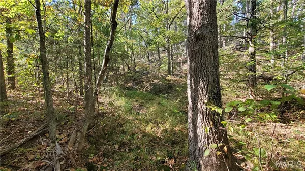 $259,900 | 0 County Road 6030, Salem, MO 65560