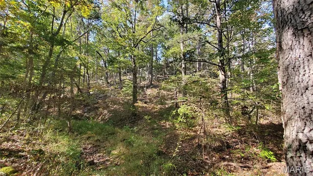 $259,900 | 0 County Road 6030, Salem, MO 65560