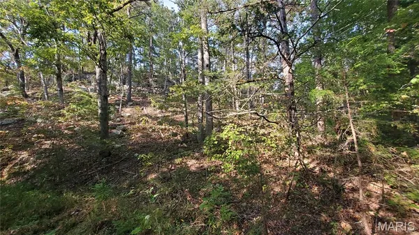 $259,900 | 0 County Road 6030, Salem, MO 65560