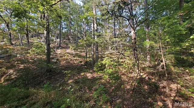 $259,900 | 0 County Road 6030, Salem, MO 65560