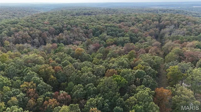 $259,900 | 0 County Road 6030, Salem, MO 65560