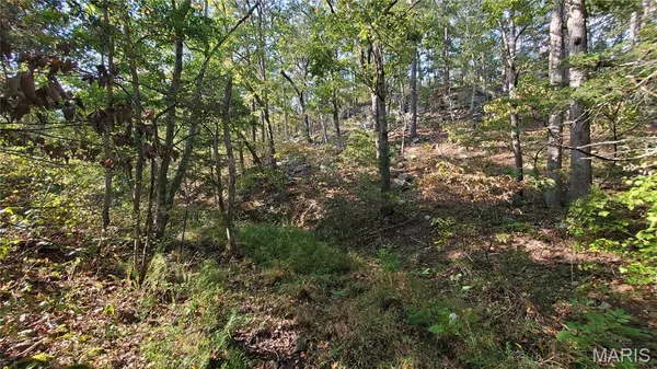 $259,900 | 0 County Road 6030, Salem, MO 65560