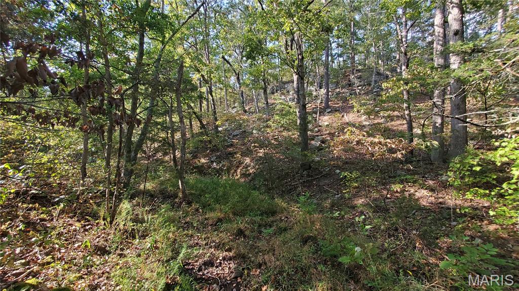 0 County Road 6030 Salem, MO 65560 - Photo 21 of 45