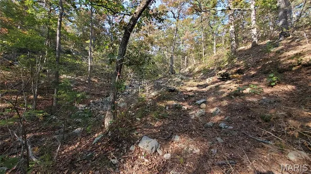 $259,900 | 0 County Road 6030, Salem, MO 65560