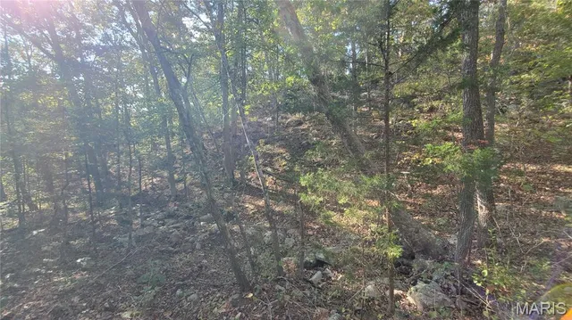 $259,900 | 0 County Road 6030, Salem, MO 65560