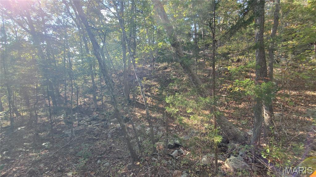 0 County Road 6030 Salem, MO 65560 - Photo 23 of 45