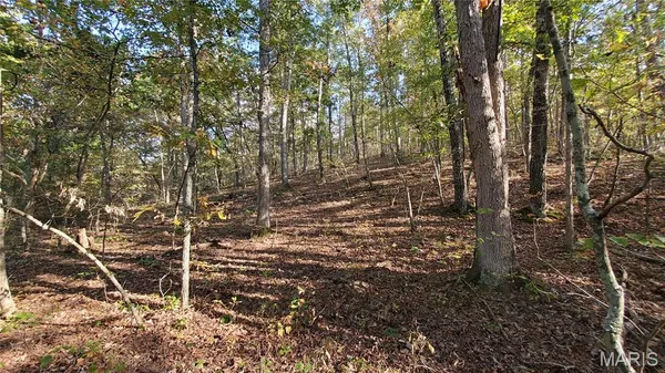 $259,900 | 0 County Road 6030, Salem, MO 65560