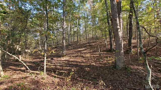 $259,900 | 0 County Road 6030, Salem, MO 65560