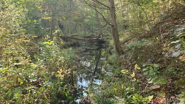 $259,900 | 0 County Road 6030, Salem, MO 65560