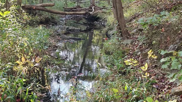 $259,900 | 0 County Road 6030, Salem, MO 65560