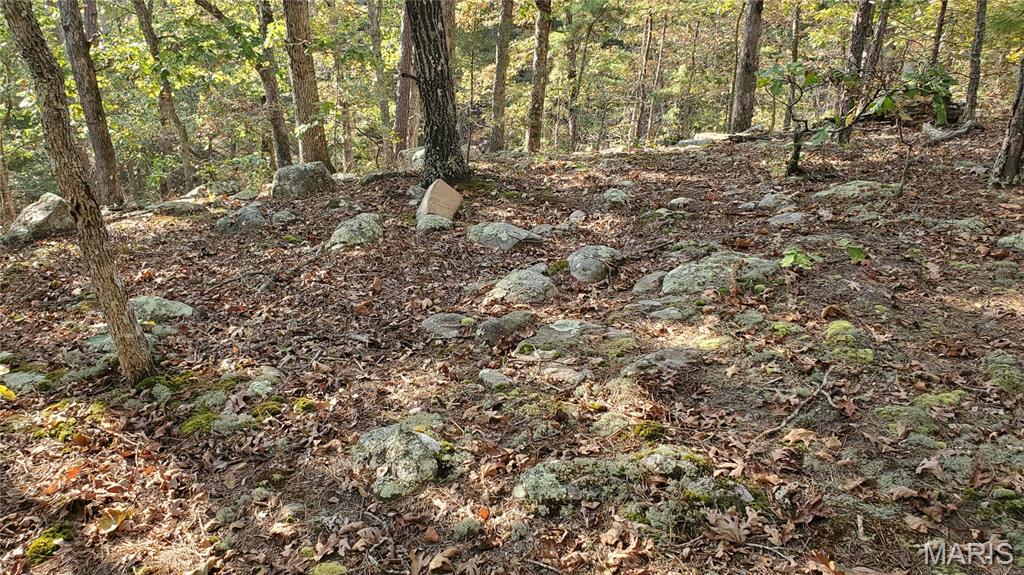 0 County Road 6030 Salem, MO 65560 - Photo 28 of 45