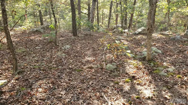 $259,900 | 0 County Road 6030, Salem, MO 65560