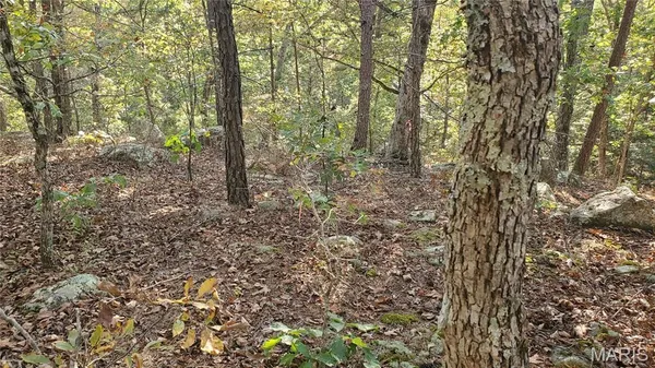$259,900 | 0 County Road 6030, Salem, MO 65560
