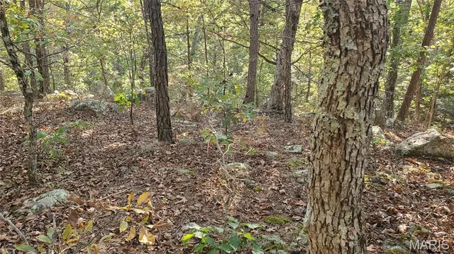 $259,900 | 0 County Road 6030, Salem, MO 65560