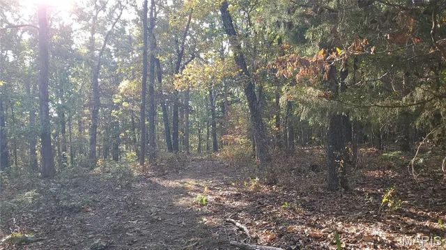 $259,900 | 0 County Road 6030, Salem, MO 65560