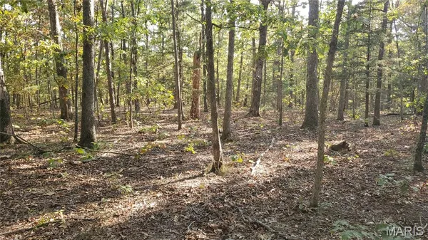 $259,900 | 0 County Road 6030, Salem, MO 65560
