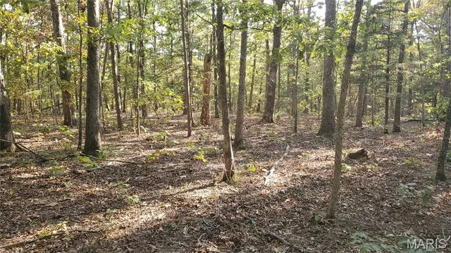 $259,900 | 0 County Road 6030, Salem, MO 65560