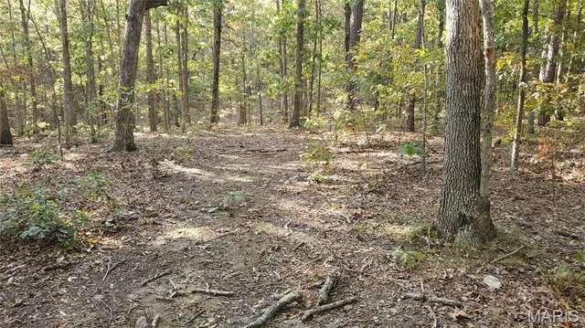 $259,900 | 0 County Road 6030, Salem, MO 65560