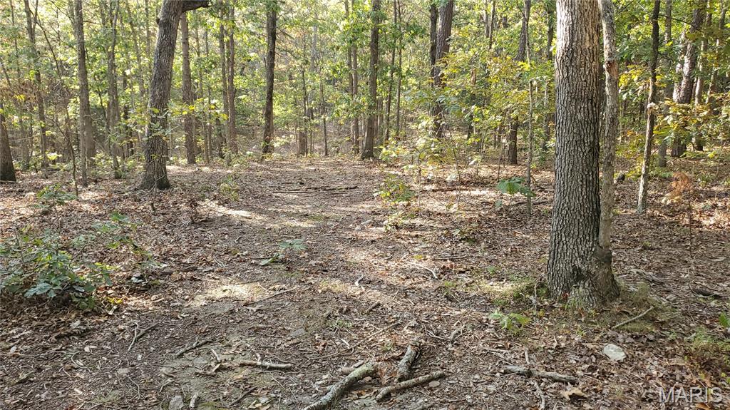 0 County Road 6030 Salem, MO 65560 - Photo 34 of 45