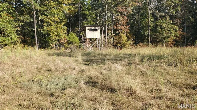 $259,900 | 0 County Road 6030, Salem, MO 65560