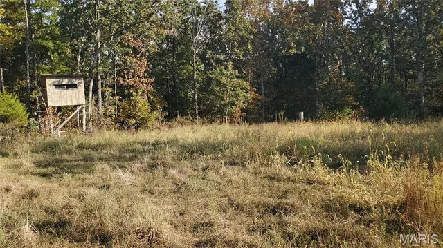 $259,900 | 0 County Road 6030, Salem, MO 65560