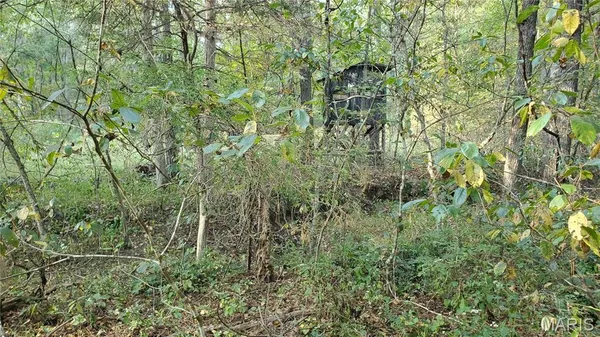 $259,900 | 0 County Road 6030, Salem, MO 65560