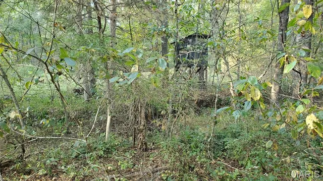 $259,900 | 0 County Road 6030, Salem, MO 65560