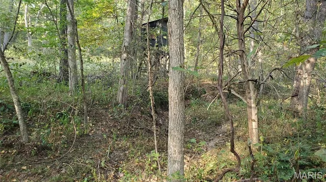 $259,900 | 0 County Road 6030, Salem, MO 65560