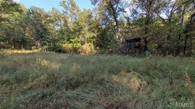 $259,900 | 0 County Road 6030, Salem, MO 65560