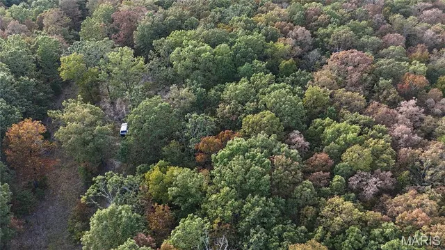 $259,900 | 0 County Road 6030, Salem, MO 65560