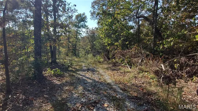 $259,900 | 0 County Road 6030, Salem, MO 65560