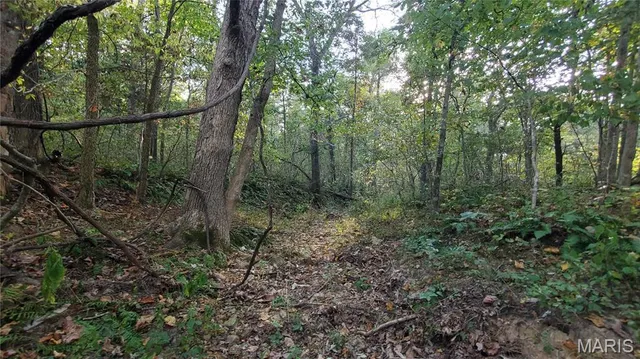 $259,900 | 0 County Road 6030, Salem, MO 65560