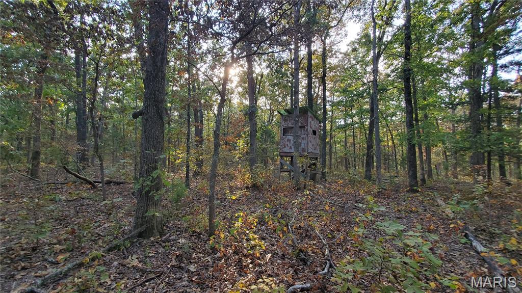 0 County Road 6030 Salem, MO 65560 - Photo 42 of 45